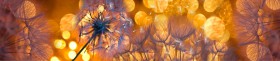 Кухонный фартук Мерцание Одуванчики золотистые 3 серебро в Москве - moskva.katalogmebeli.com | фото